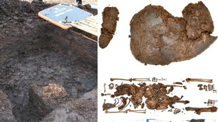 Aleksey Sukletin biografía, edad, altura, esposo, net worth, familia