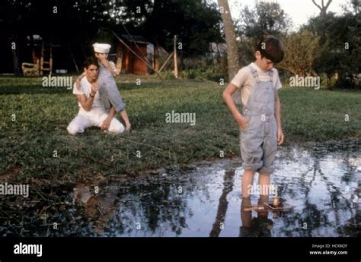 Carey Hollis Jr. Biography, Age, Height, Wife, Net Worth, Family