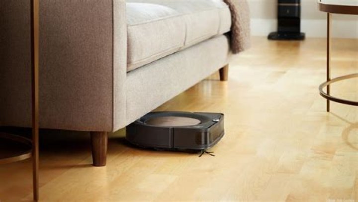 Colin Angle Biography, Age, Height, Net Worth, Family