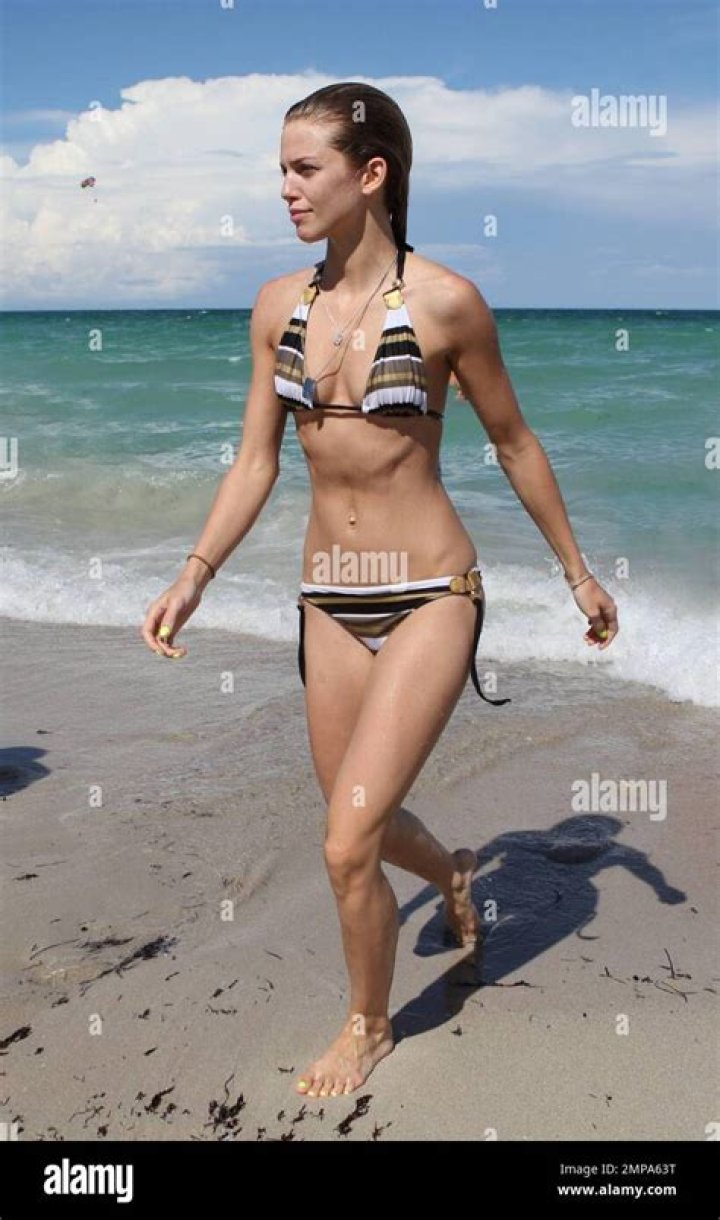 Diane Venora Biography, Age, Height, Husband, Net Worth, Family