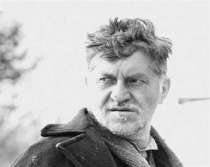 Dorel Visan Biography, Age, Height, Wife, Net Worth, Family