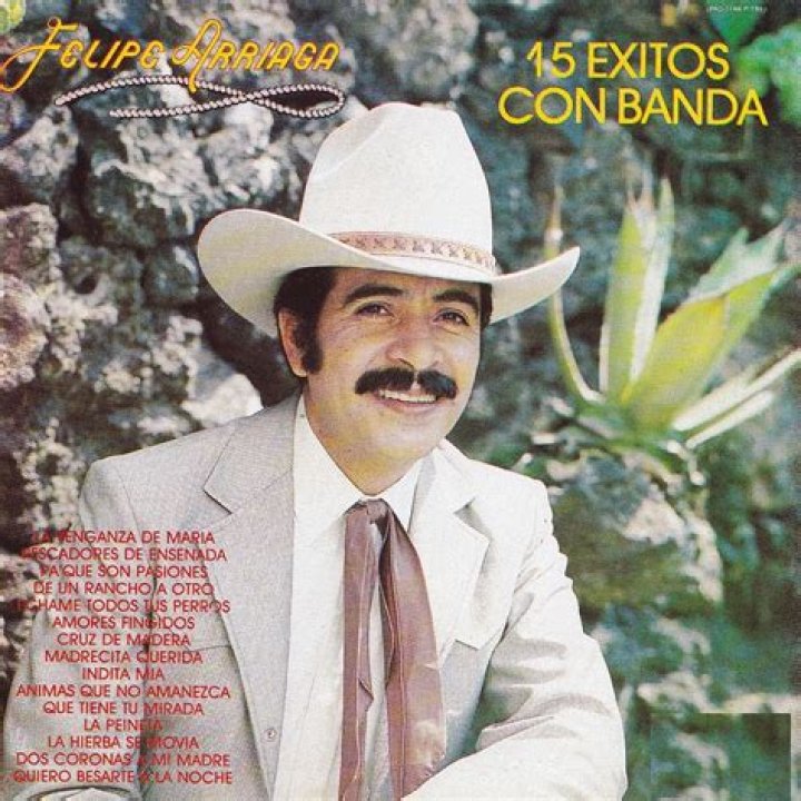 Felipe Arriaga biografía, edad, altura, esposo, net worth, familia