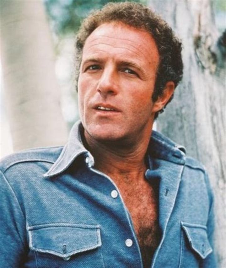 James Caan Biography, Age, Height, Wife, Net Worth, Family