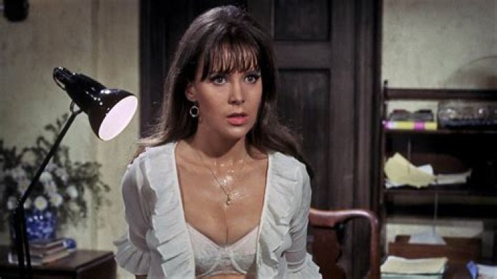 Jane Merrow Biography, Age, Height, Husband, Net Worth, Family