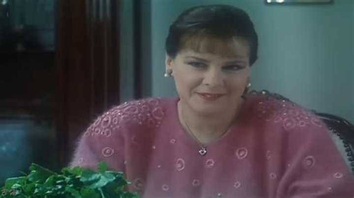 Nazim Shaarawy Biography, Age, Height, Wife, Net Worth, Family