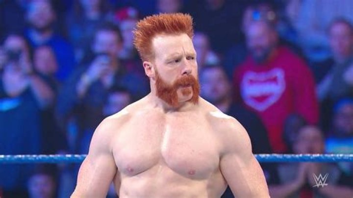 Sheamus Biography, Age, Height, Wife, Net Worth, Family